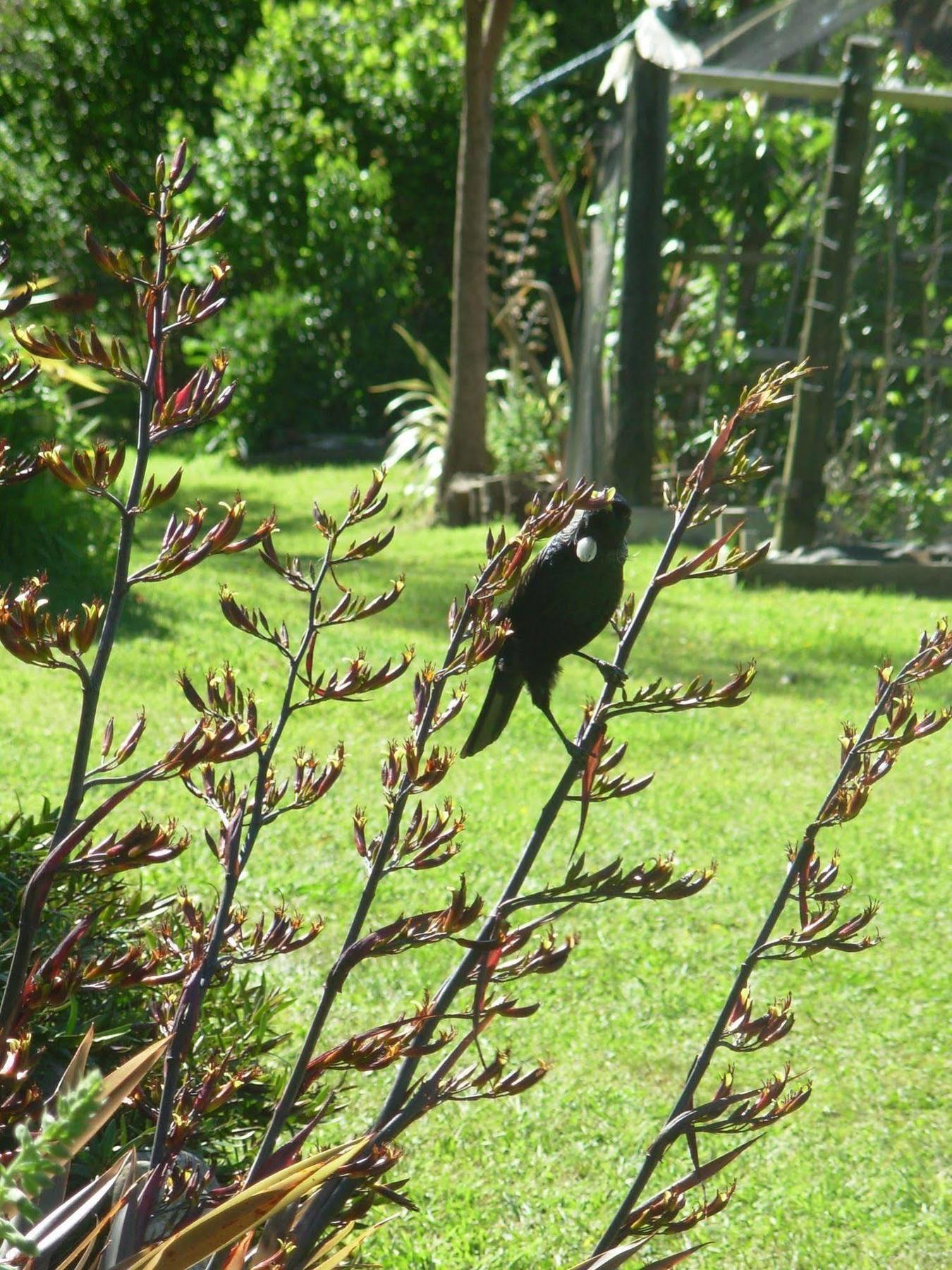 Wetland View Park Anatori Exterior foto